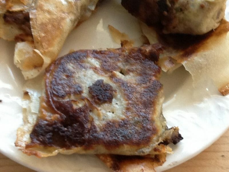 Cliquez pour zoomer ! Samoussa Thermomix par SCSC