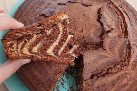 Cliquez pour zoomer ! Gâteau zébré Thermomix par Marina