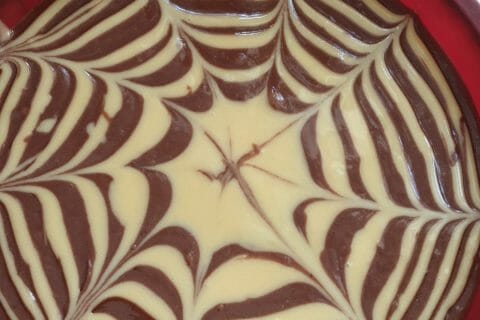 Cliquez pour zoomer ! Gâteau zébré Thermomix par Marina