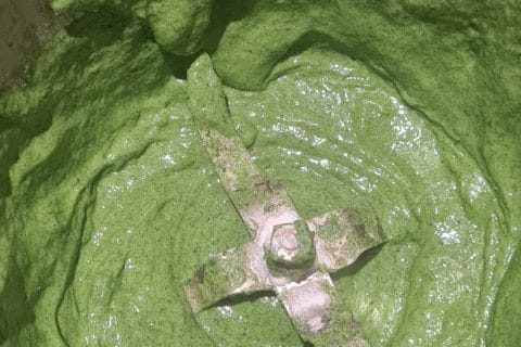 Cliquez pour zoomer ! Spätzle aux épinards Thermomix par Mag30