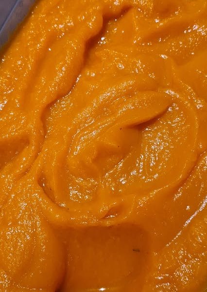 Cliquez pour zoomer ! Purée courges et carottes Thermomix par Mag30