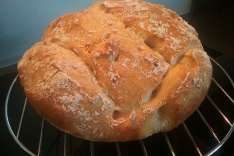 Cliquez pour zoomer ! Pain Cocotte au Thermomix