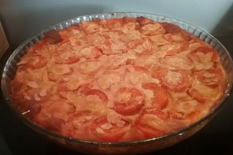 Cliquez pour zoomer ! Clafoutis aux abricots au Thermomix