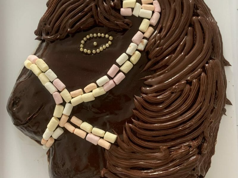 Gateau Au Chocolat Des Ecoliers Au Thermomix Cookomix Gateau Au Chocolat Des Ecoliers Au Thermomix Cookomix
