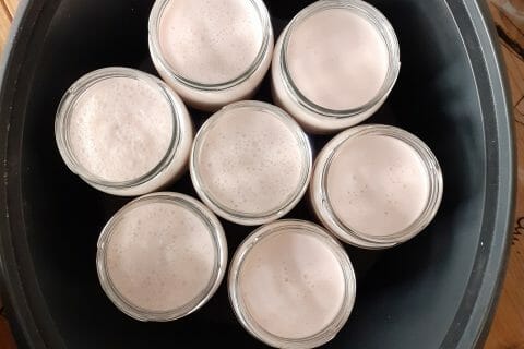 Cliquez pour zoomer ! Yaourt à boire – Yop Thermomix par dawn40