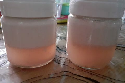 Cliquez pour zoomer ! Yaourt à boire – Yop Thermomix par dawn40