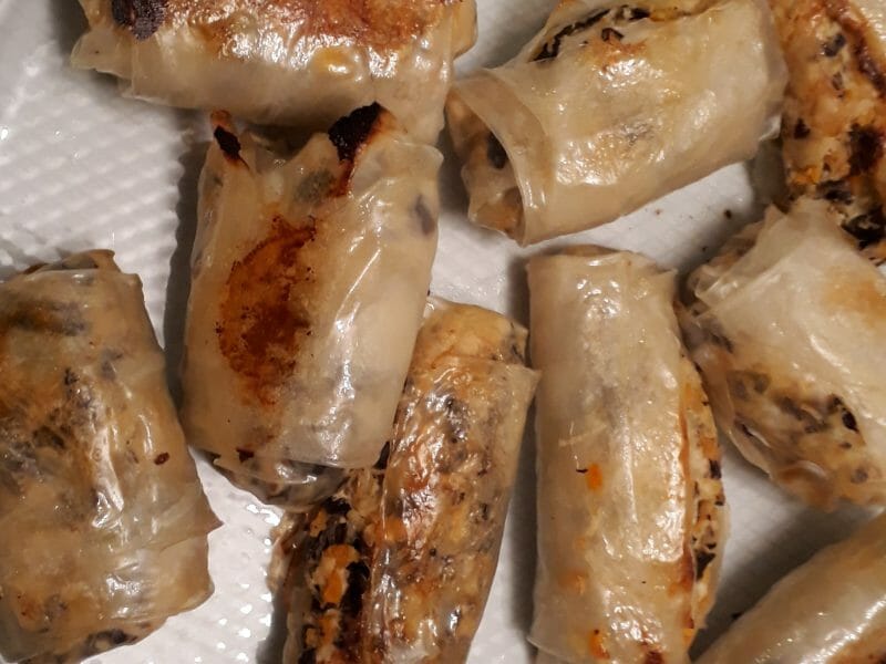 Cliquez pour zoomer ! Nems au poulet Thermomix par Emydriase