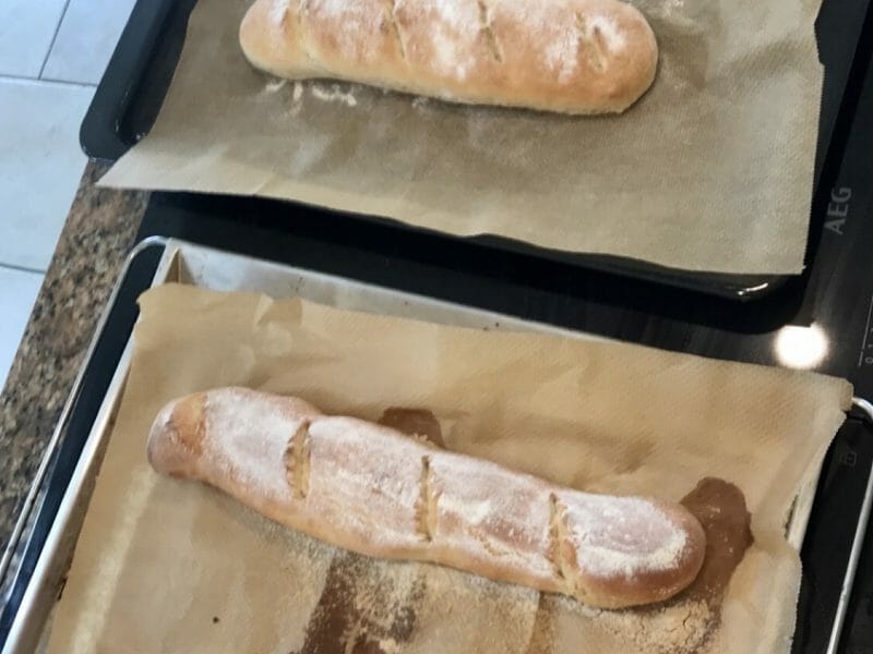 Cliquez pour zoomer ! Baguettes Thermomix par claudia06