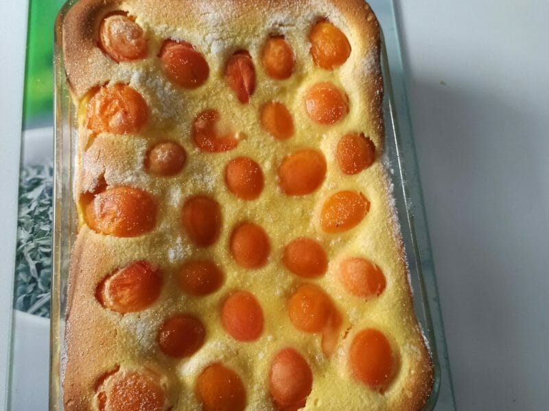 Cliquez pour zoomer ! Far aux abricots Thermomix par finou_1