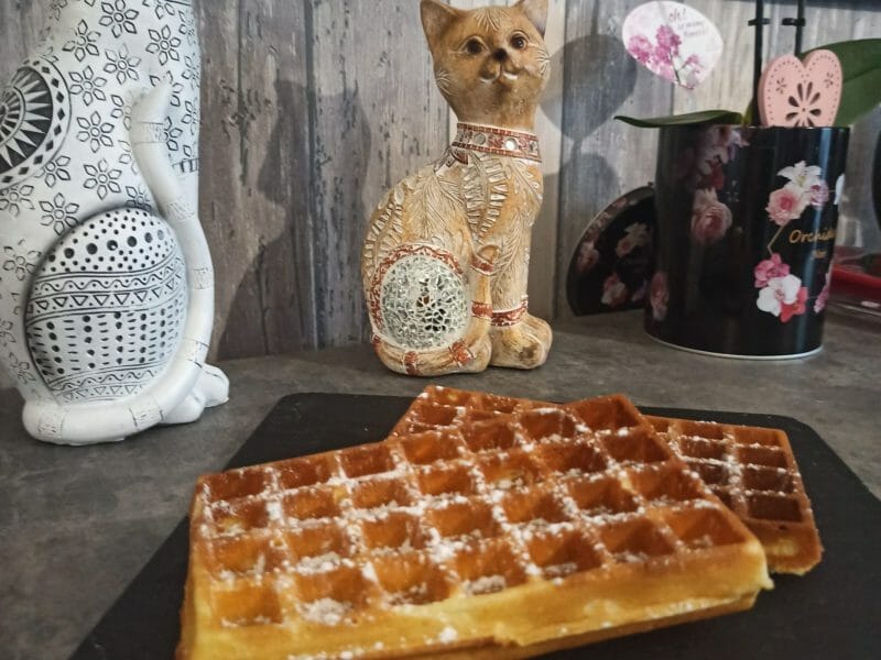 Cliquez pour zoomer ! Gaufres Thermomix par finou_1