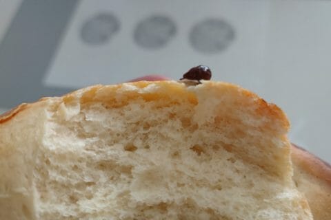 Cliquez pour zoomer ! Manalas Thermomix par audreyfred