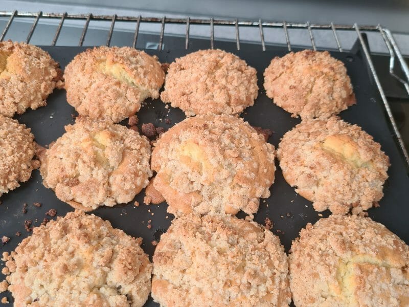 Cliquez pour zoomer ! Muffins aux myrtilles Thermomix par jen59