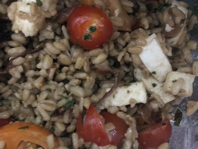 Cliquez pour zoomer ! Salade d’ebly, oignon caramélisé & mozzarella Thermomix par lapucesalsa