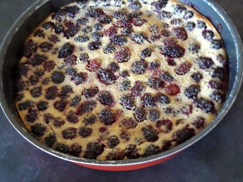 Cliquez pour zoomer ! Clafoutis aux mûres sauvages Thermomix par Ln
