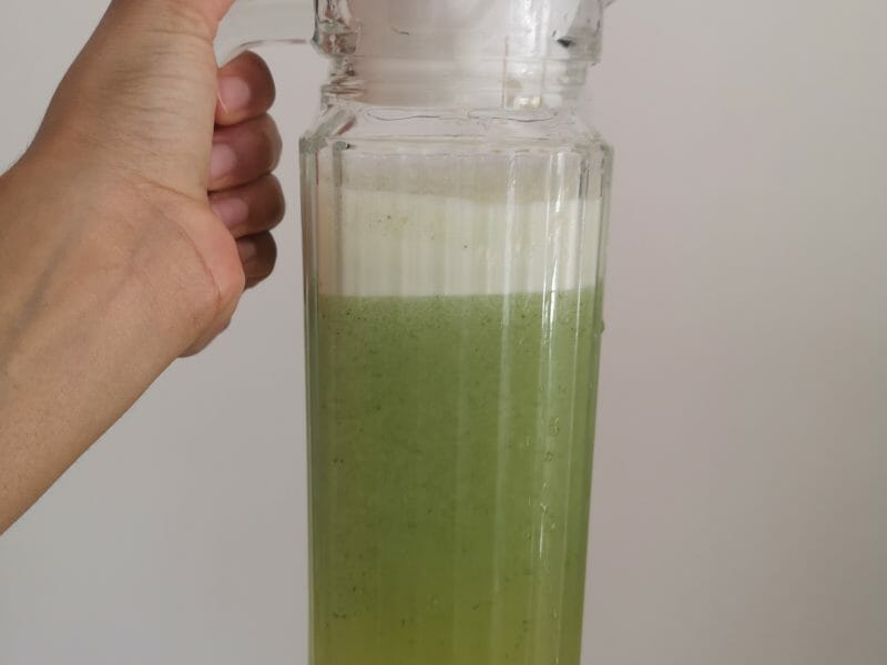 Cliquez pour zoomer ! Lemon mint Thermomix par njcb