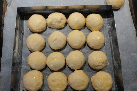 Cliquez pour zoomer ! Brioche Buchty Thermomix par stefcls