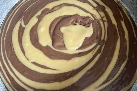 Cliquez pour zoomer ! Gâteau zébré Thermomix par chris27200