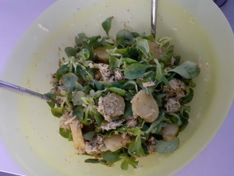 Cliquez pour zoomer ! Salade de poulet au pesto rosso Thermomix par nanaveveille