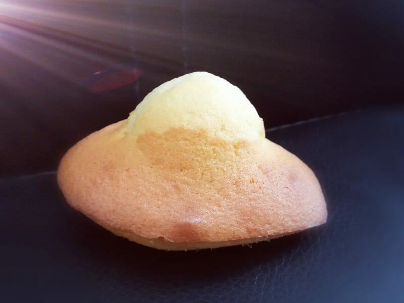 Cliquez pour zoomer ! Madeleines Thermomix par tweety80