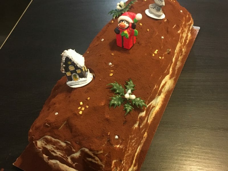 Cliquez pour zoomer ! Bûche Tiramisu Thermomix par Maenoja