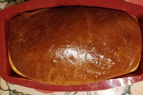 Cliquez pour zoomer ! Saucisson brioché Thermomix par Sylfrandre