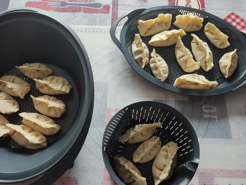 Cliquez pour zoomer ! Gyoza poulet et chou chinois Thermomix par valenttine