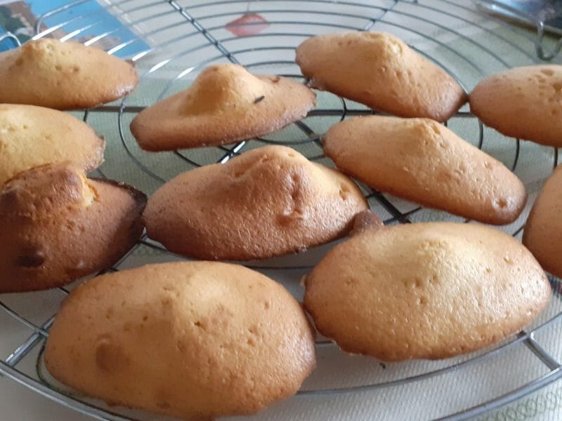 Cliquez pour zoomer ! Madeleines Thermomix par kcran