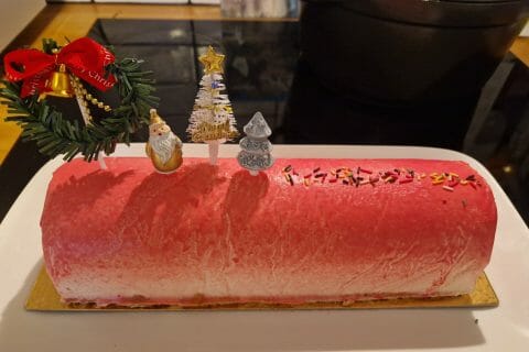 Cliquez pour zoomer ! Bûche citron et framboises Thermomix par Maudus