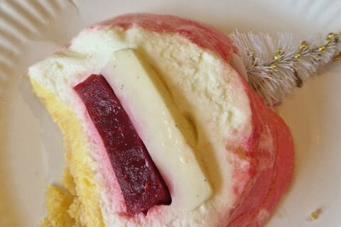 Cliquez pour zoomer ! Bûche citron et framboises Thermomix par Maudus