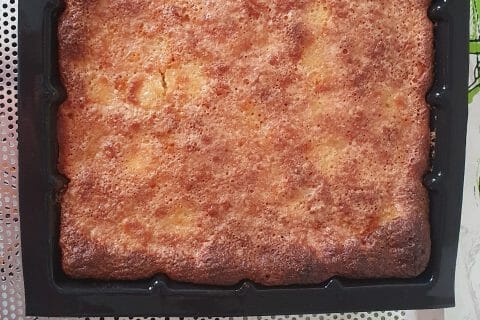 Cliquez pour zoomer ! Moelleux aux pommes Thermomix par fifibhj