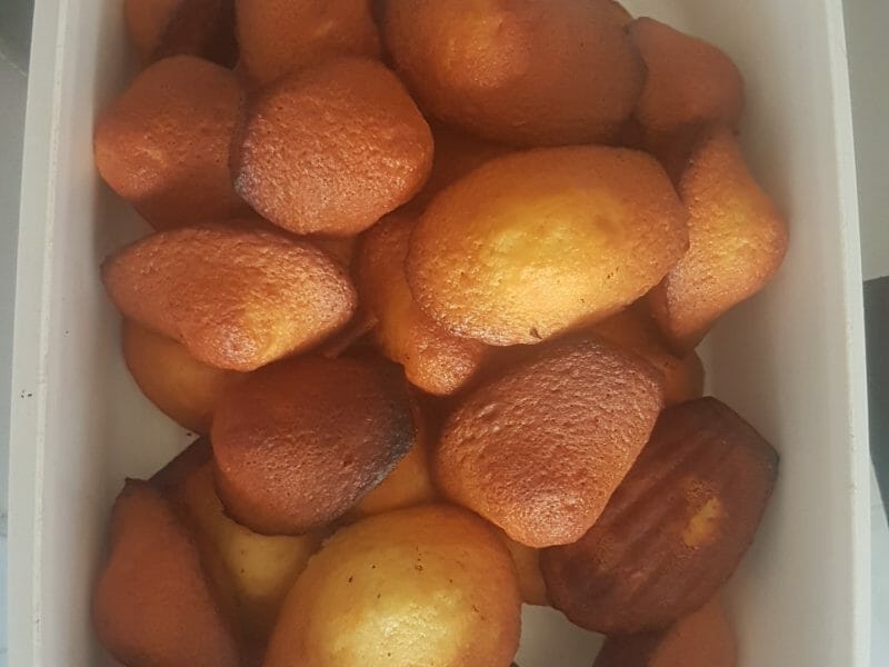 Cliquez pour zoomer ! Madeleines Thermomix par loud_1