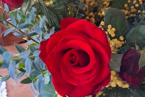 Cliquez pour zoomer ! Photo de chocolatitine