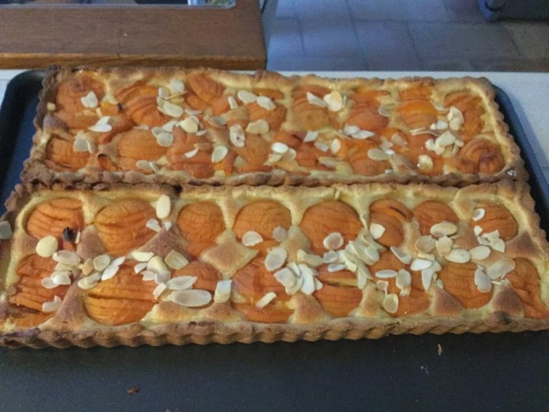 Cliquez pour zoomer ! Tarte amandine aux abricots Thermomix par chocolatitine