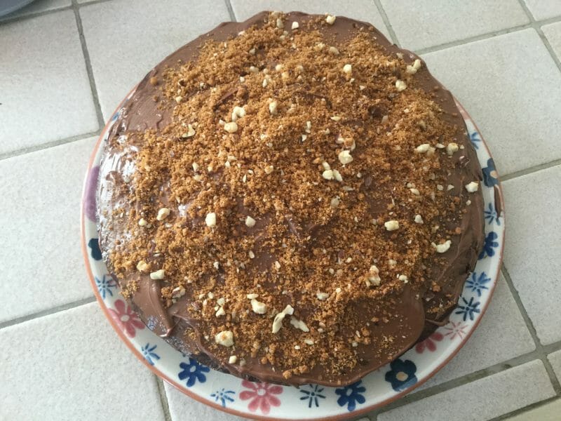 Gateau Au Yaourt Et Chocolat Au Thermomix Cookomix Gateau Au Yaourt Et Chocolat Au Thermomix Cookomix