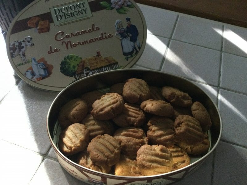 Cliquez pour zoomer ! Biscuits au gingembre Thermomix par chocolatitine