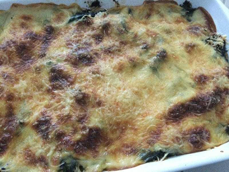 Cliquez pour zoomer ! Lasagnes au poulet et aux épinards Thermomix par chocolatitine