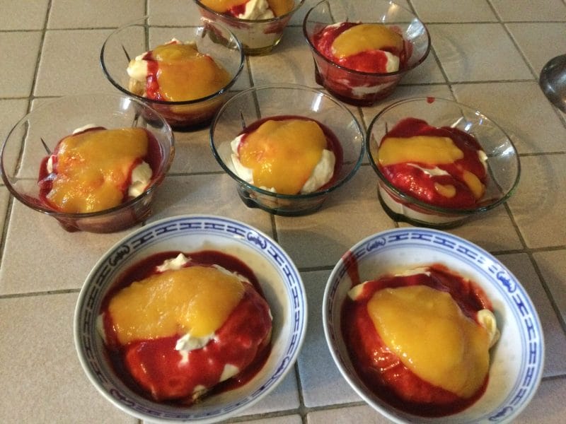 Cliquez pour zoomer ! Mangomisu Thermomix par chocolatitine