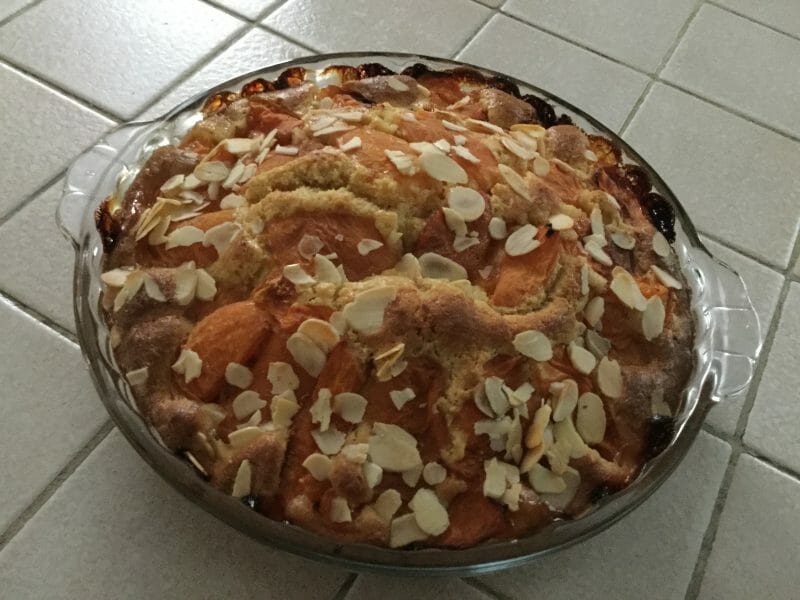 Cliquez pour zoomer ! Gâteau moelleux aux abricots Thermomix par chocolatitine