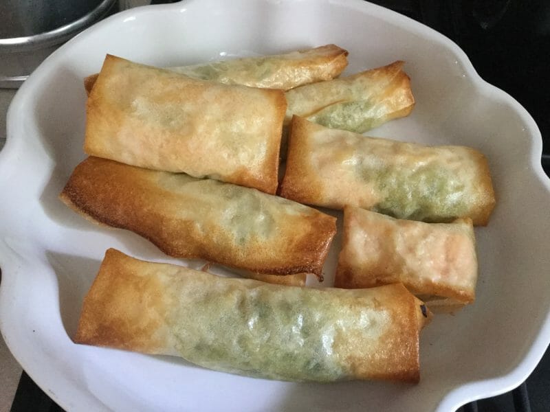 Cliquez pour zoomer ! Brick de saumon et poireaux Thermomix par chocolatitine