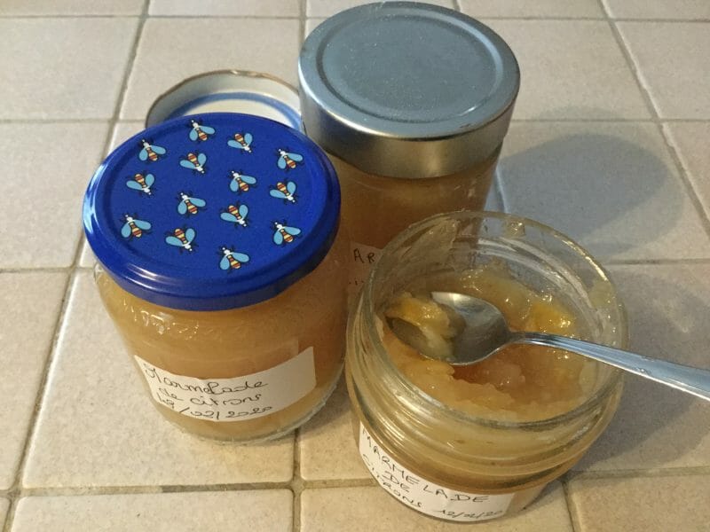 Cliquez pour zoomer ! Gelée de citrons Thermomix par chocolatitine