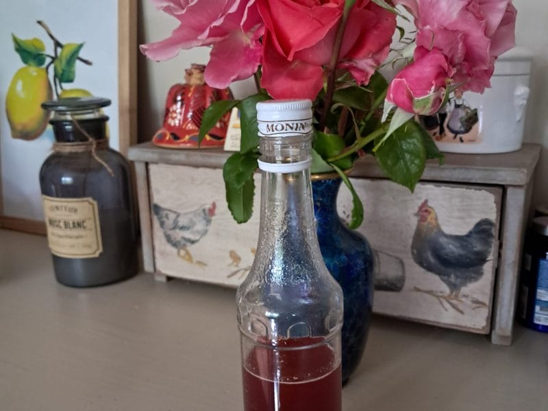 Cliquez pour zoomer ! Sirop de queues de fraises Thermomix par chocolatitine