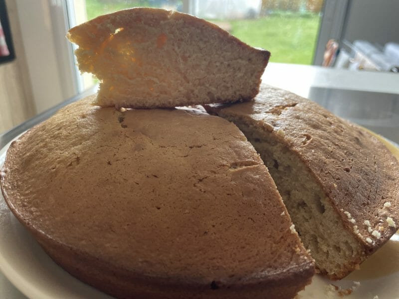 Cliquez pour zoomer ! Le gâteau suédois de Castor Thermomix par Zazou56