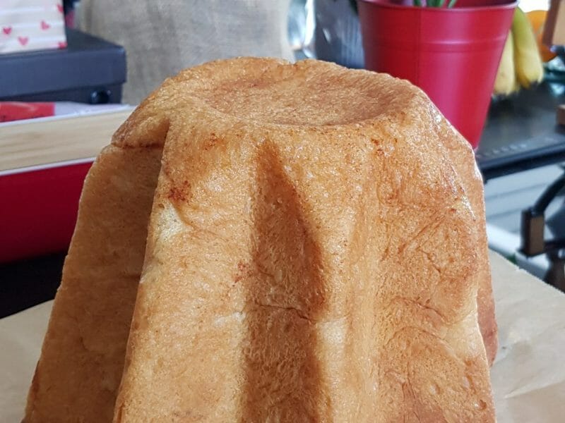 Cliquez pour zoomer ! Pandoro Thermomix par Krolderder