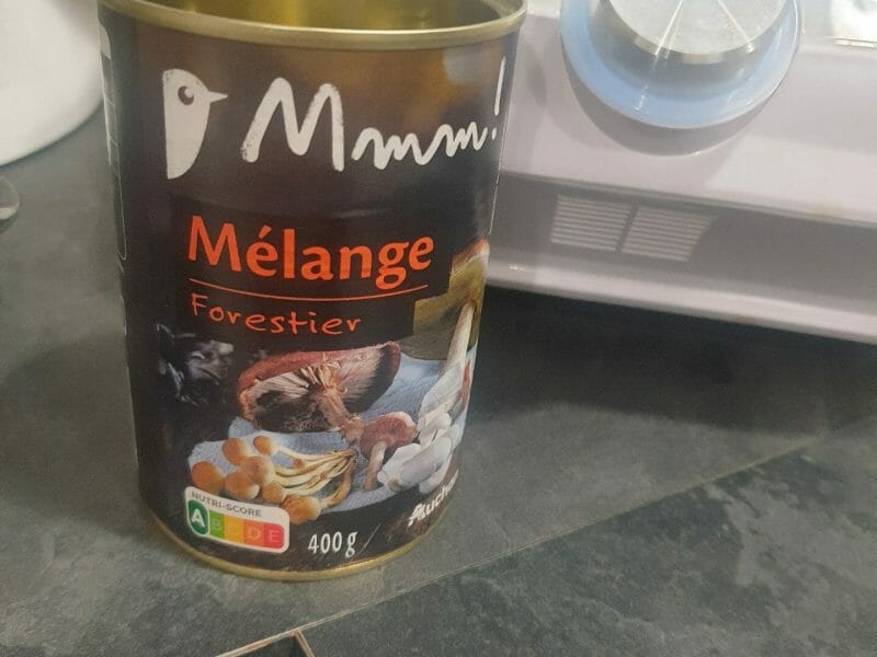 Cliquez pour zoomer ! Paupiettes de veau aux champignons Thermomix par artemis37