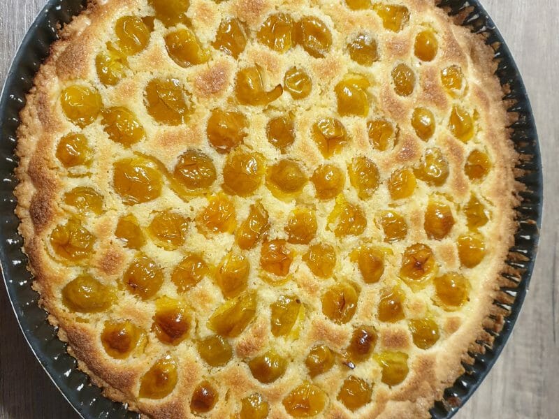 Tarte Aux Mirabelles Au Thermomix Cookomix Tarte Aux Mirabelles Au Thermomix Cookomix