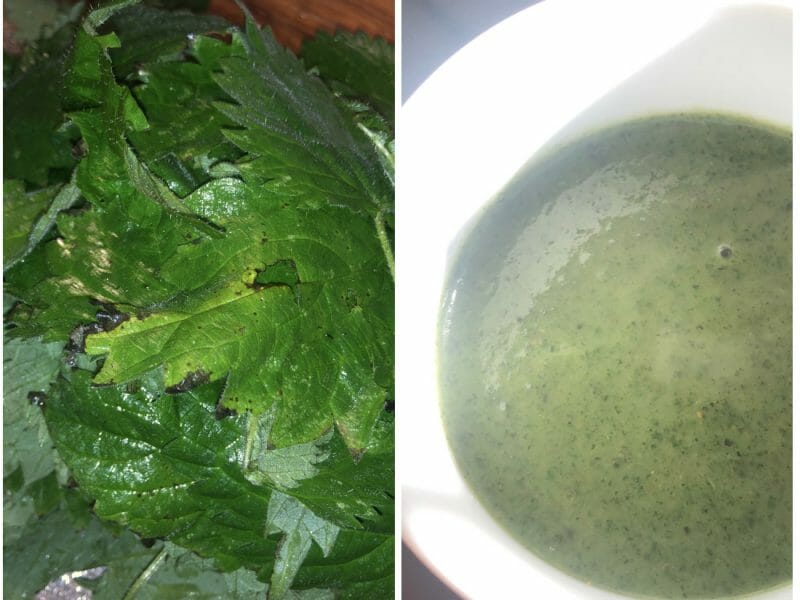 Cliquez pour zoomer ! Soupe d’orties Thermomix par marielefebvre7