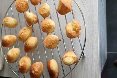 Cliquez pour zoomer ! Cake à la noix de coco Thermomix par mamily59