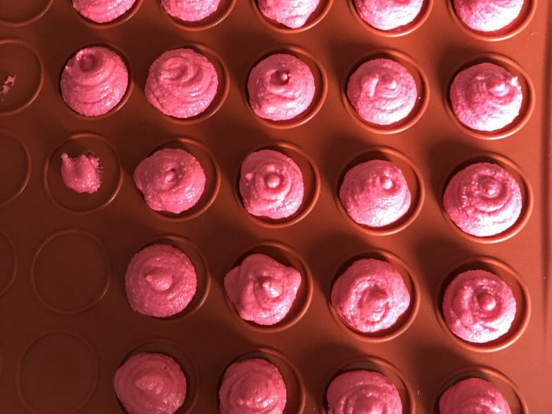 Cliquez pour zoomer ! Macarons Thermomix par anne-marie_5