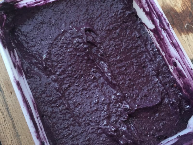 Cliquez pour zoomer ! Sorbet aux mûres Thermomix par sharyn