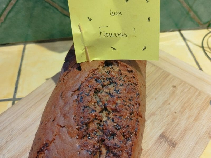 Cliquez pour zoomer ! Cake aux fourmis Thermomix par sharyn
